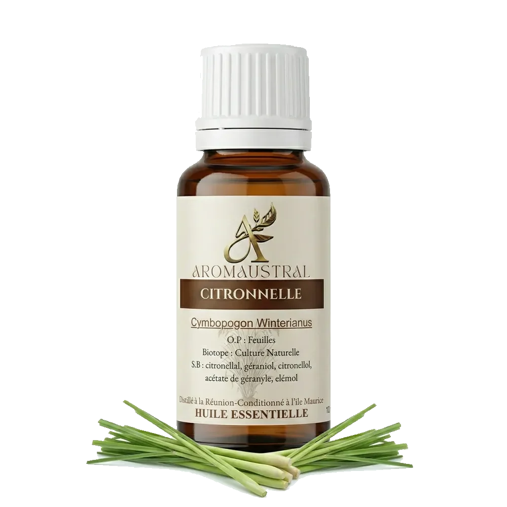 Citronnelle